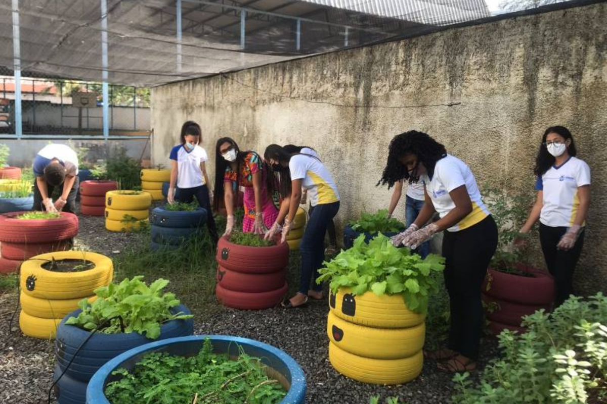 Aprendendo com a natureza: explorando a pedagogia ambiental e o aprendizado experiencial