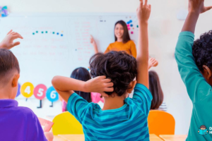 Desenvolvendo competências: o papel do ensino fundamental I na formação integral