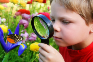 Pequenos grandes aprendizes: nutrindo a curiosidade desde o berço: a importância da curiosidade na primeira infância