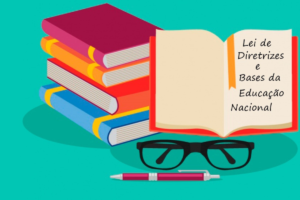 Diretrizes da educação nacional: princípios, fundamentos e implicações