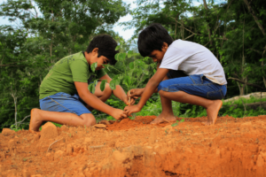 Sustentabilidade e educação ambiental: construindo um futuro consciente